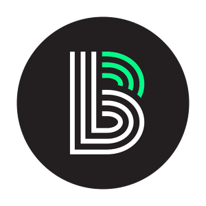 Team Page: BBBS Bigs